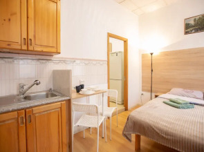 Апартаменты Студия Улучшенная Владимирский