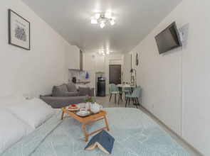 Апартаменты Студия на Михайловская 51