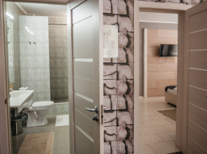 Отель Шишка