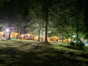 Горная Мята