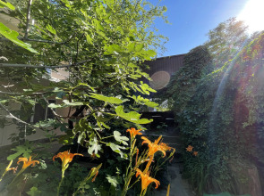 Меблированные комнаты Николь