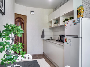 Апартаменты Однушка с мятным намеком