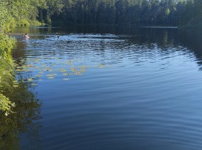 Частный дом Среди озер