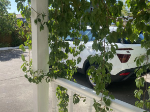 Отель Рождественский