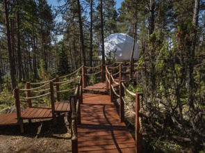Глэмпинг Lago Ladoga