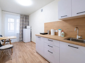 Апартаменты Петровские на Совпартшкольном 12/1