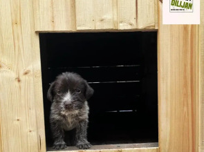 Хостел La Casa Dilijan