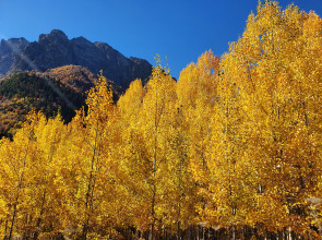 Апартаменты Вершина Апарт 910Б