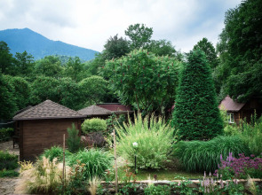 База отдыха Volkov Family