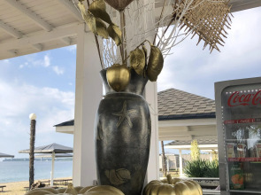 Мини-отель Del Mar