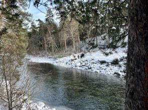 Глэмпинг The Лес