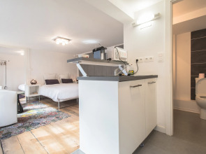 Апартаменты 24b Appartements des Orfèvres