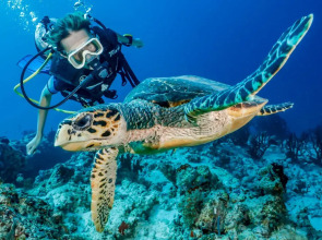 Гостевой дом Blue Wave Maldives