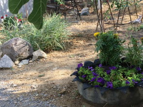 Частный дом Домик без докучливых хозяев