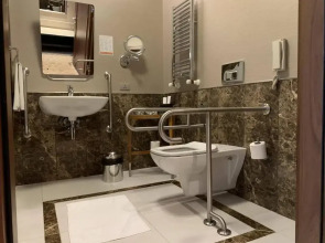 Отель Borjomi Likani