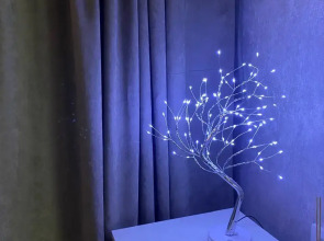 Квартира Большевиков 21А