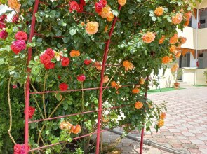 Мини-отель Якорь