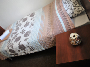 Мини-отель Brave