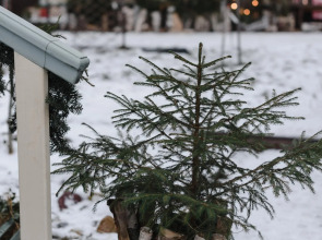 Апарт-Отель Калинова Горка