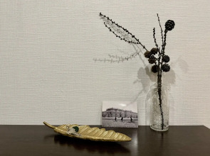 Апартаменты на Варшавской 19к5