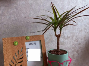 Квартира с видом на часы 11 этаж