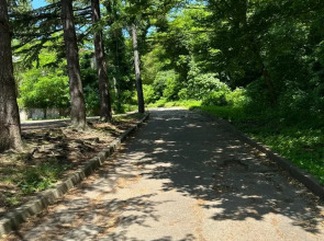 Гостевой дом Пальма Туапсе