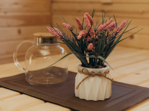 Гостевой дом дом в аренду в Беловежской пуще