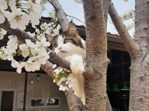 Гостевой дом Радужный