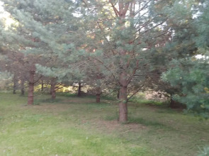 Частный дом Хитрый Лис 1