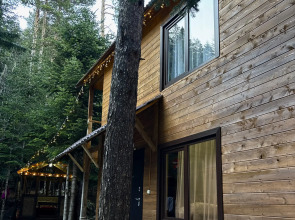 Гостевой дом Триумф