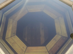 Глэмпинг Папоротник