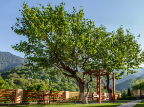 Гостевой дом Dilivita