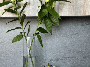 Апартаменты Иванова 4