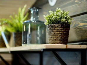 Парк-отель Камчатка Форест Лодж