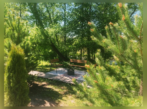 Гостевой дом Домик Лесника Солотча