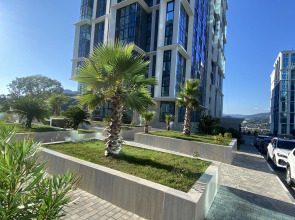 Квартира ЖК Сочи Парк