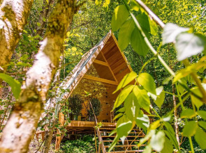 ЛЕС Глэмпинг и SPA