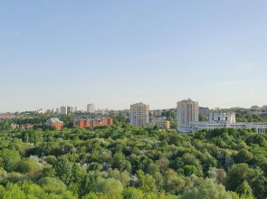 Апартаменты Владимир