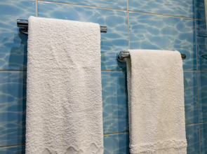 Апартаменты Топольники Люкс