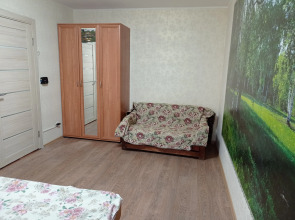 Апартаменты на Хутынской