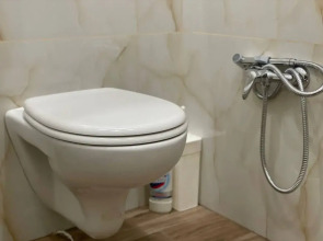 Апартаменты Дельфин