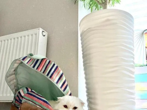 Гостевой дом Жданова 11М