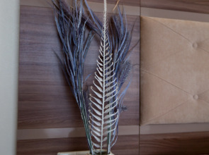 Гостевой Дом Private Residence in Koktebel