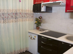 Апартаменты Елизаровых 45