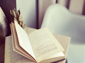 Апартаменты Elagin Studio