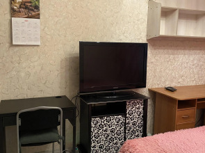 Апартаменты на Гаврюшина 15-43