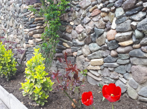 Гостевой Дом Nelly's