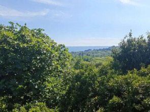 Гостевой дом Отдых у Ашота и Джульетты