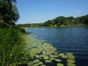 База Отдыха Черкасский Затон