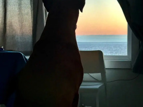 Гостевой дом Lake Park